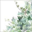 20 Servietten Grüner Efeu auf weiß als Pflanzen und Natur zur Kommunion und Konfirmation 33cm als Tischdeko